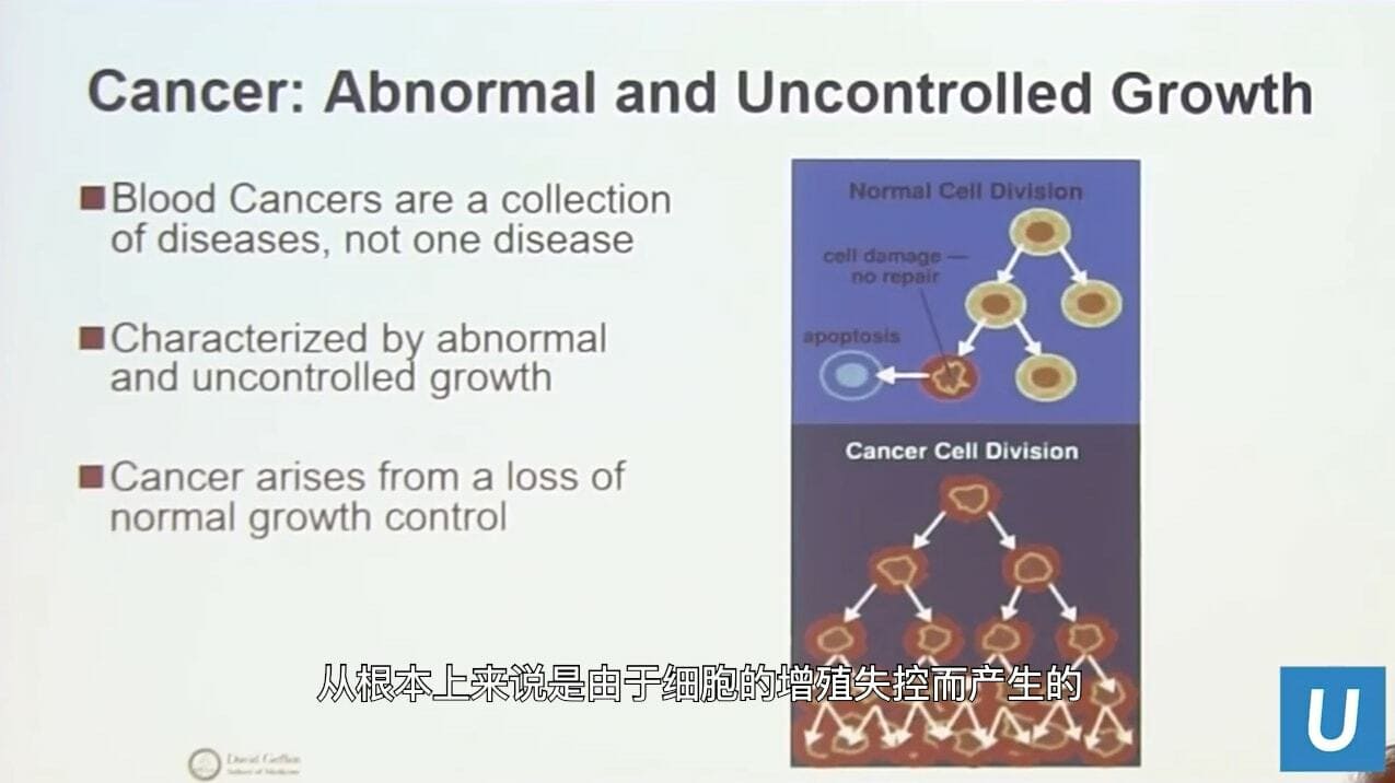 UCLA Health医疗中心_血癌到底是什么？