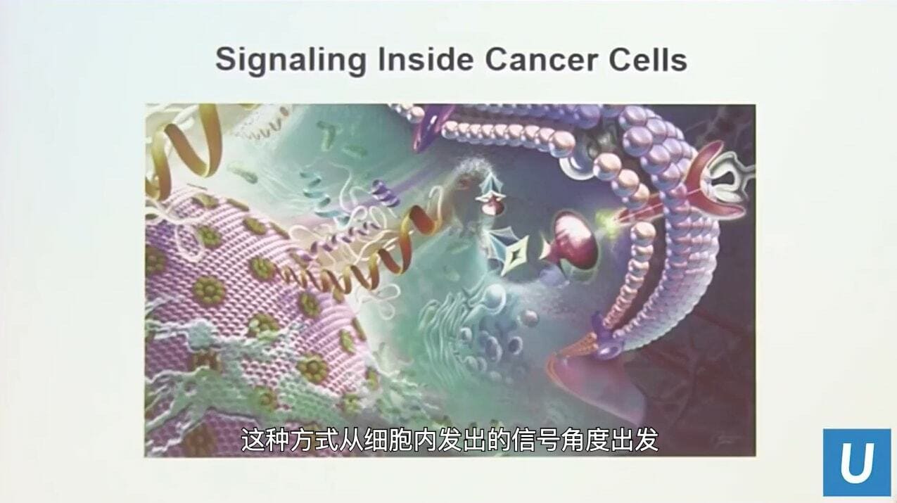 UCLA Health医疗中心_细胞发出的信号