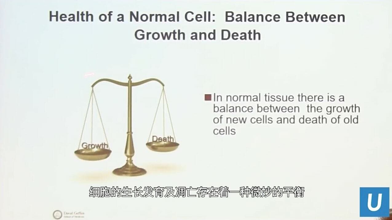 UCLA Health医疗中心_正常细胞如何运作