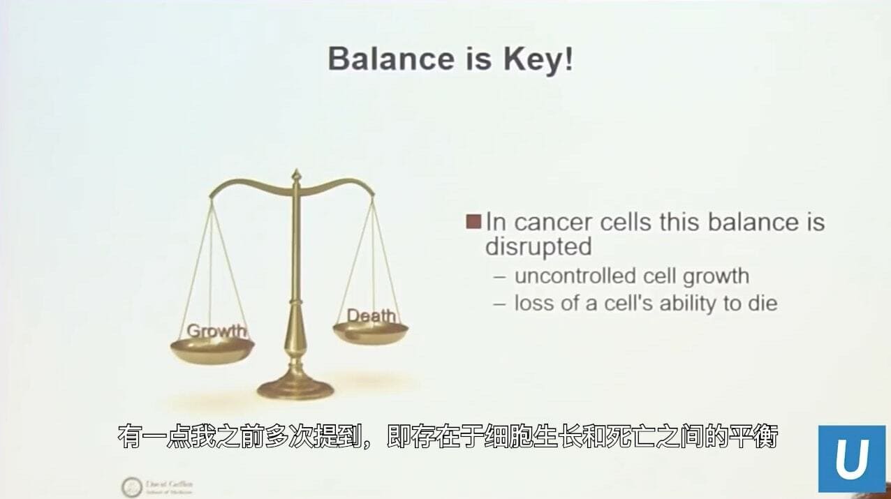 UCLA Health医疗中心_血癌有新的治疗方法吗？