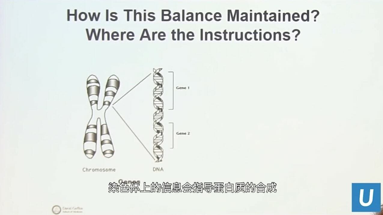 UCLA Health医疗中心_基因与癌症有什么关系？