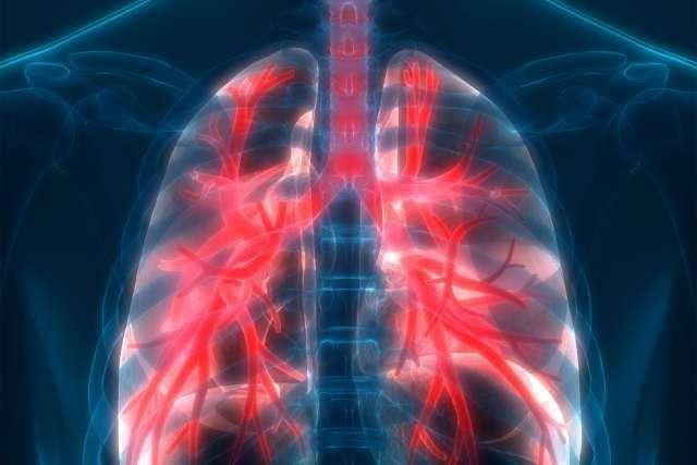 UCLA Health|肺癌与肺健康:你需要知道的呼吸科学