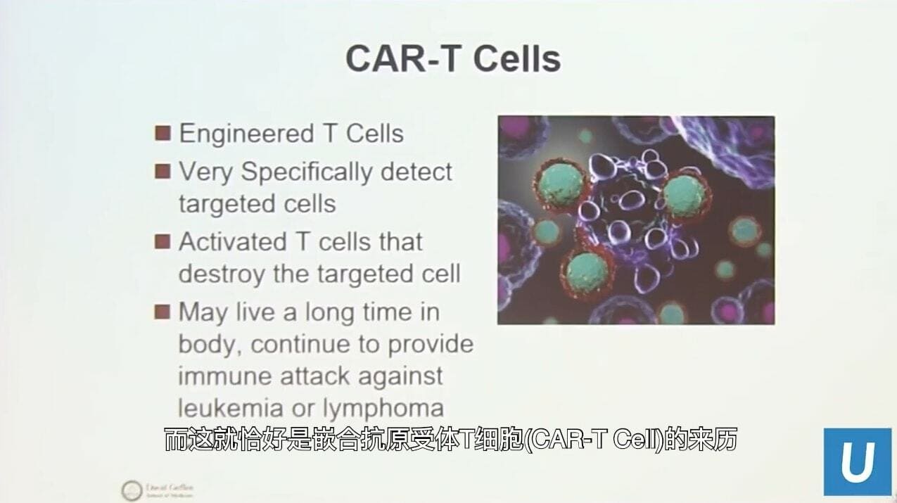 UCLA Health医疗中心_嵌合抗原受体CAR-T细胞免疫疗法
